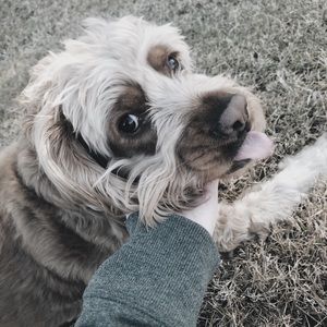 Meet your Posher, ᴹᴬᴰᴵᴱ